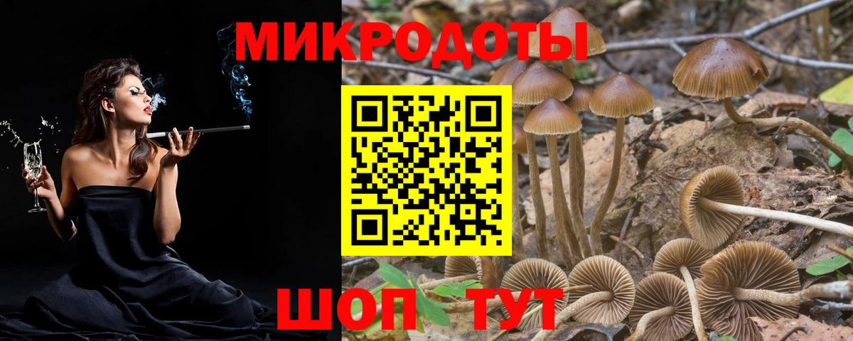 Псилоцибиновые грибы GOLDEN TEACHER  Галлюциногенные грибы GOLDEN TEACHER  Вход с VPN  Янаул 